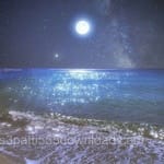 Avatar of Hooria Malik